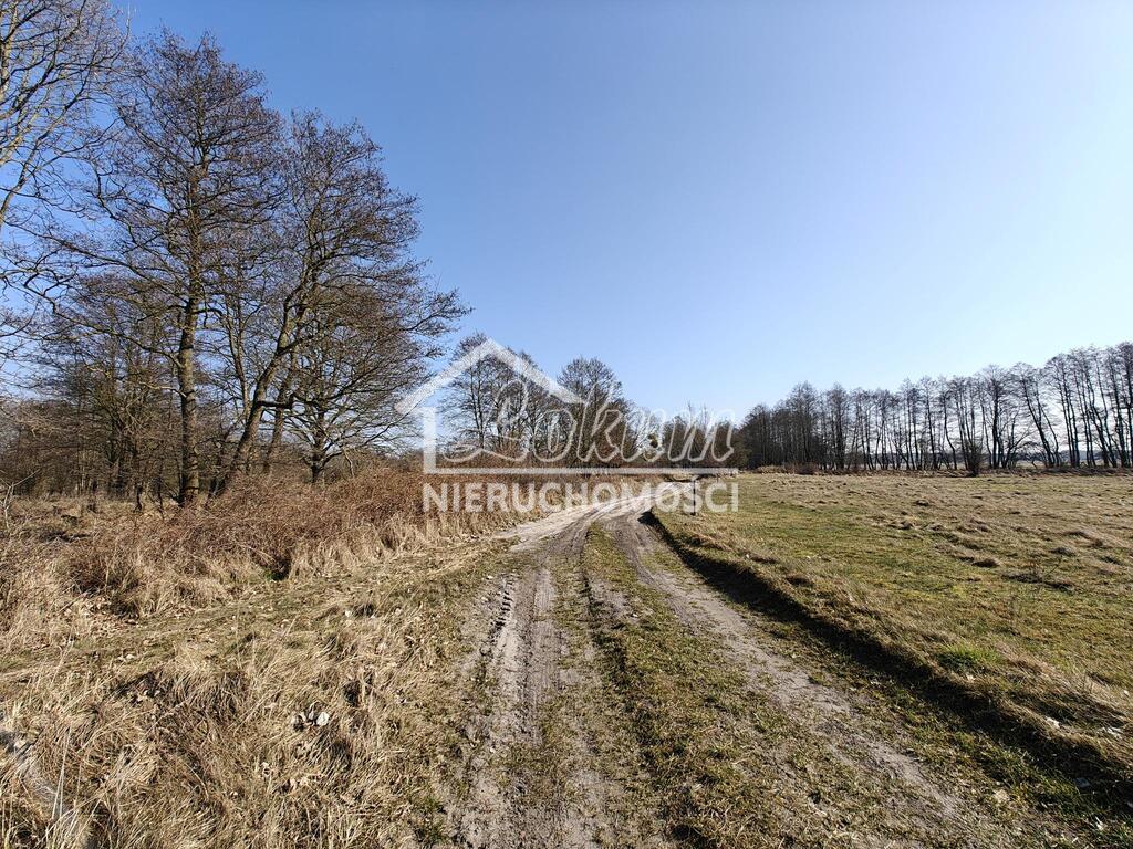 Działka rolna 56,65&nbsp;ha, Stepnica - zdjęcie 5