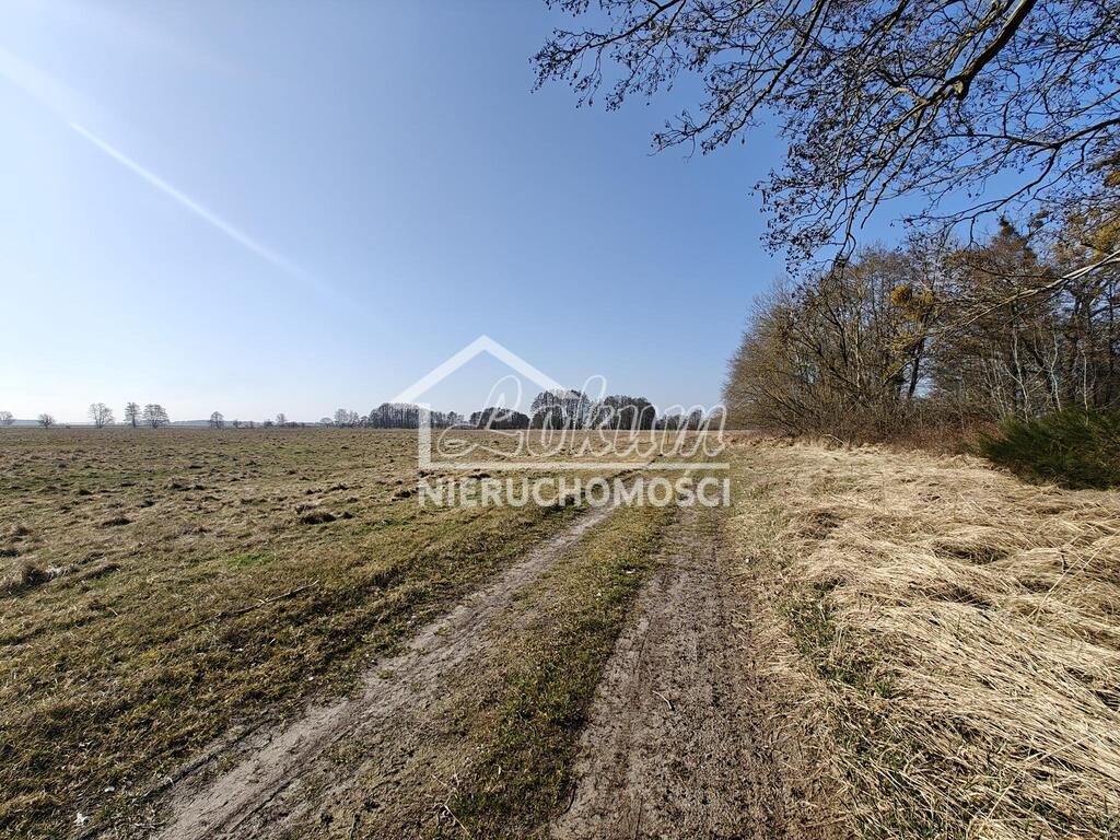 Działka rolna 56,65&nbsp;ha, Stepnica - zdjęcie 3