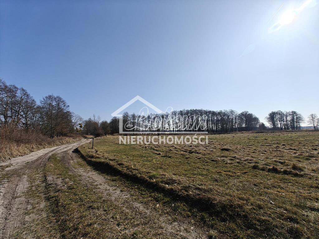 Działka rolna 56,65&nbsp;ha, Stepnica - zdjęcie 6