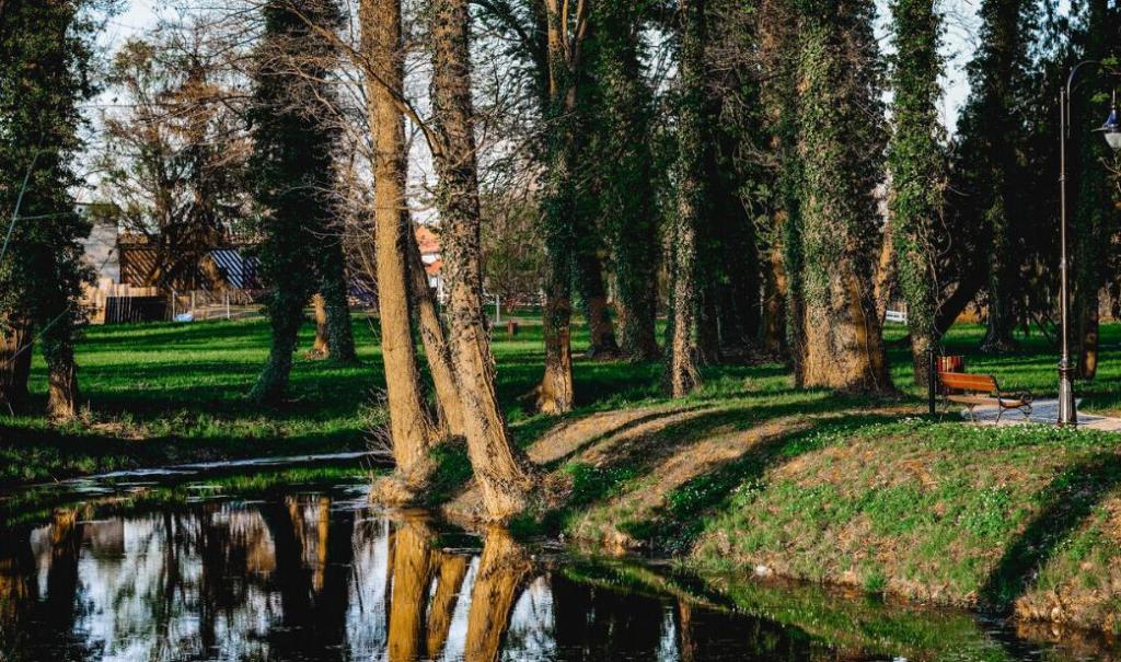 Działka inwestycyjna 1,00 ha, Radwanice, Katarzyńska - zdjęcie 2