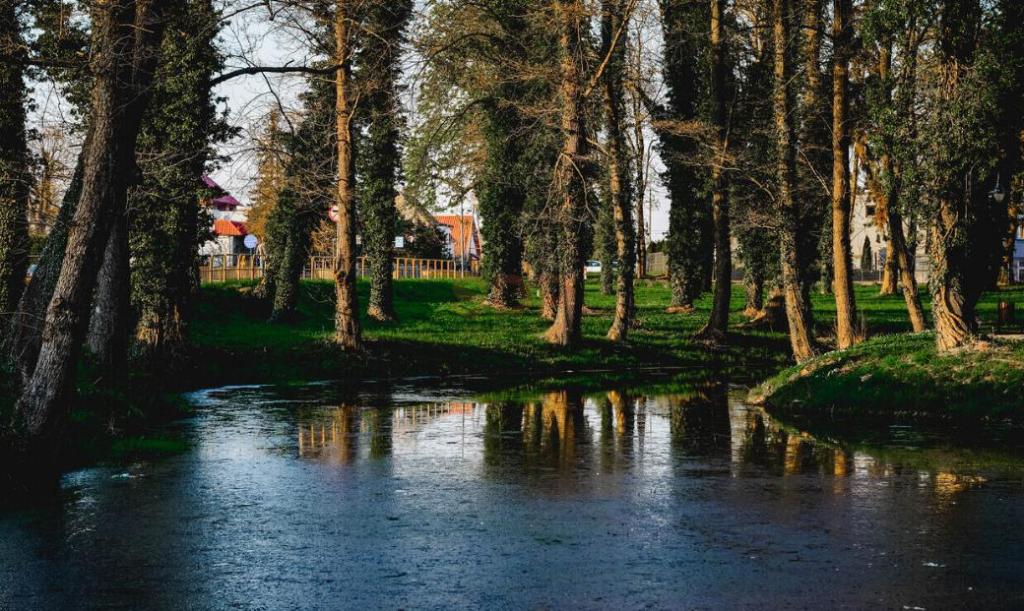 Działka inwestycyjna 1,00 ha, Radwanice, Katarzyńska - zdjęcie 3