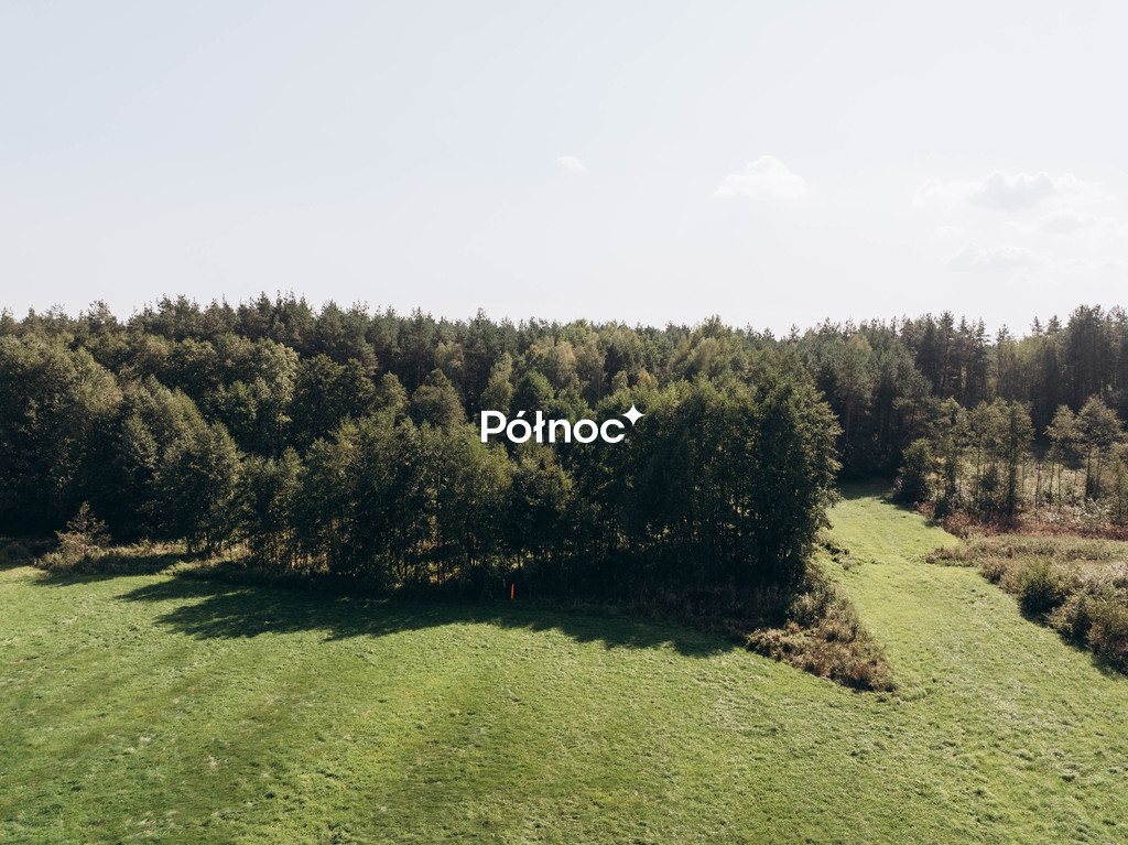 Działka rolna 6705&nbsp;m², Modzele-Skudosze - zdjęcie 2