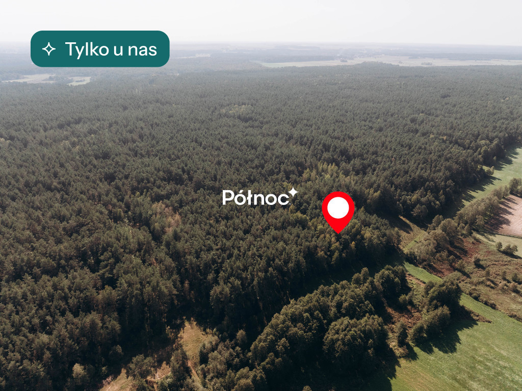 Działka rolna 6705&nbsp;m², Modzele-Skudosze - zdjęcie 1