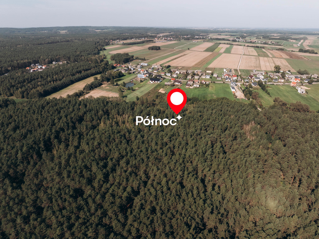 Działka rolna 6705&nbsp;m², Modzele-Skudosze - zdjęcie 4