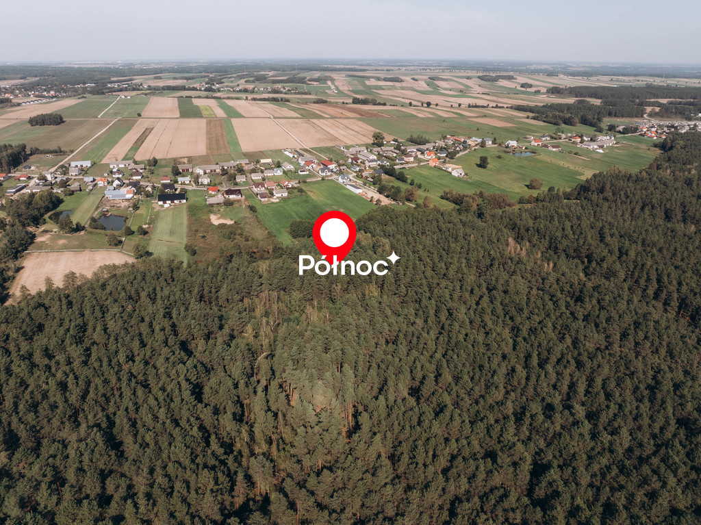 Działka rolna 6705&nbsp;m², Modzele-Skudosze - zdjęcie 3