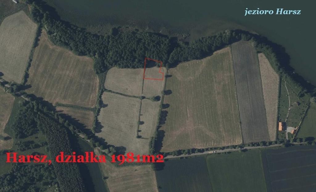 Działka rolna 1981 m², Harsz - zdjęcie 3