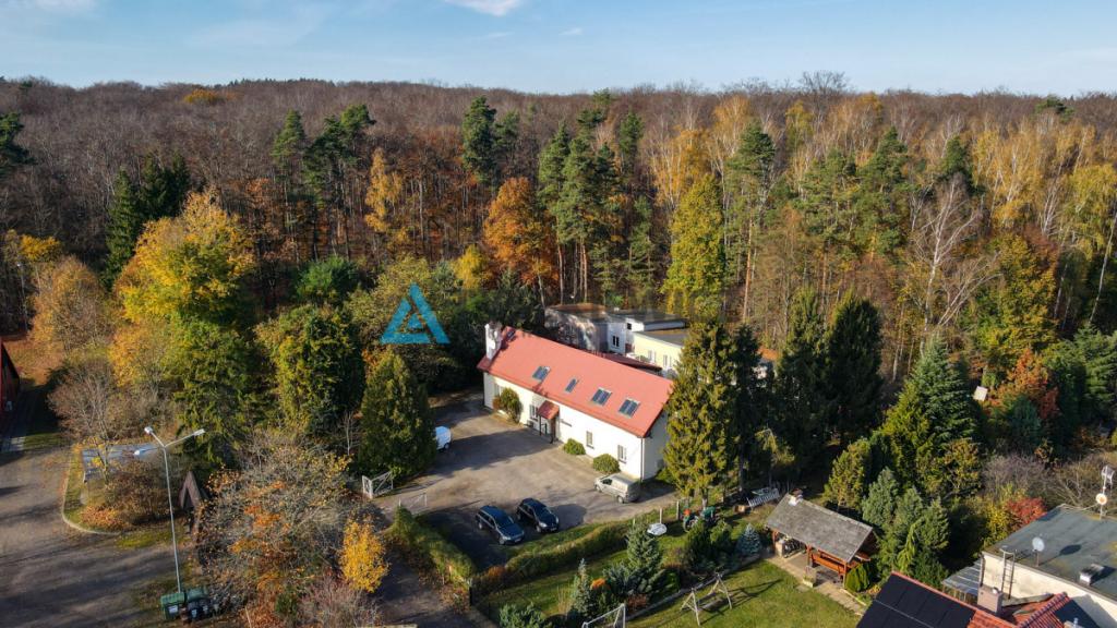 Budynki biurowo -usługowe Jagatowo działka 4320m2 - zdjęcie 3
