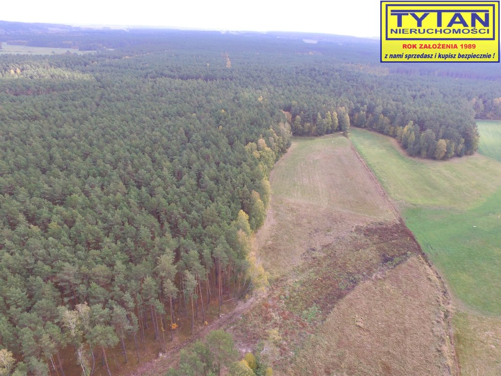 Działka rolna 2,48&nbsp;ha, Serwatki - zdjęcie 8