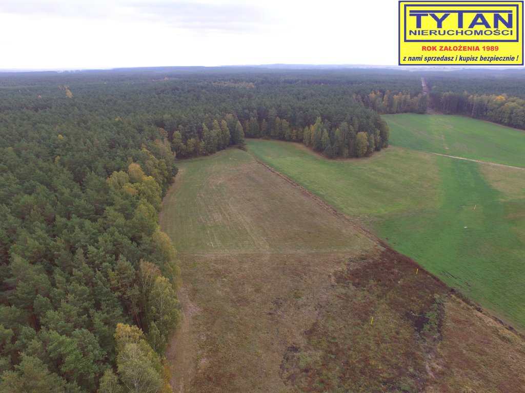 Działka rolna 2,48&nbsp;ha, Serwatki - zdjęcie 7