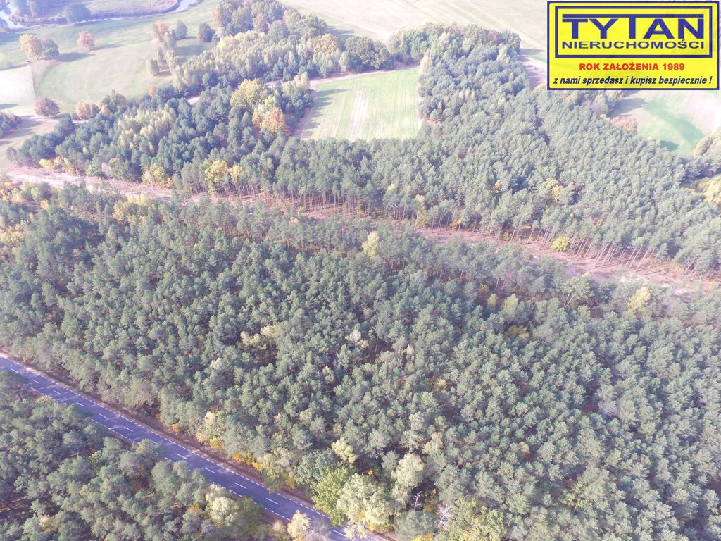 Działka rolna 2,48&nbsp;ha, Serwatki - zdjęcie 6