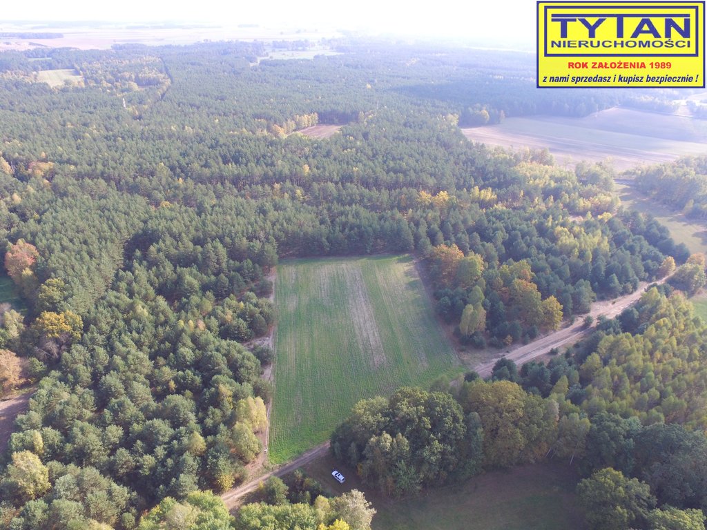 Działka rolna 2,48&nbsp;ha, Serwatki - zdjęcie 4