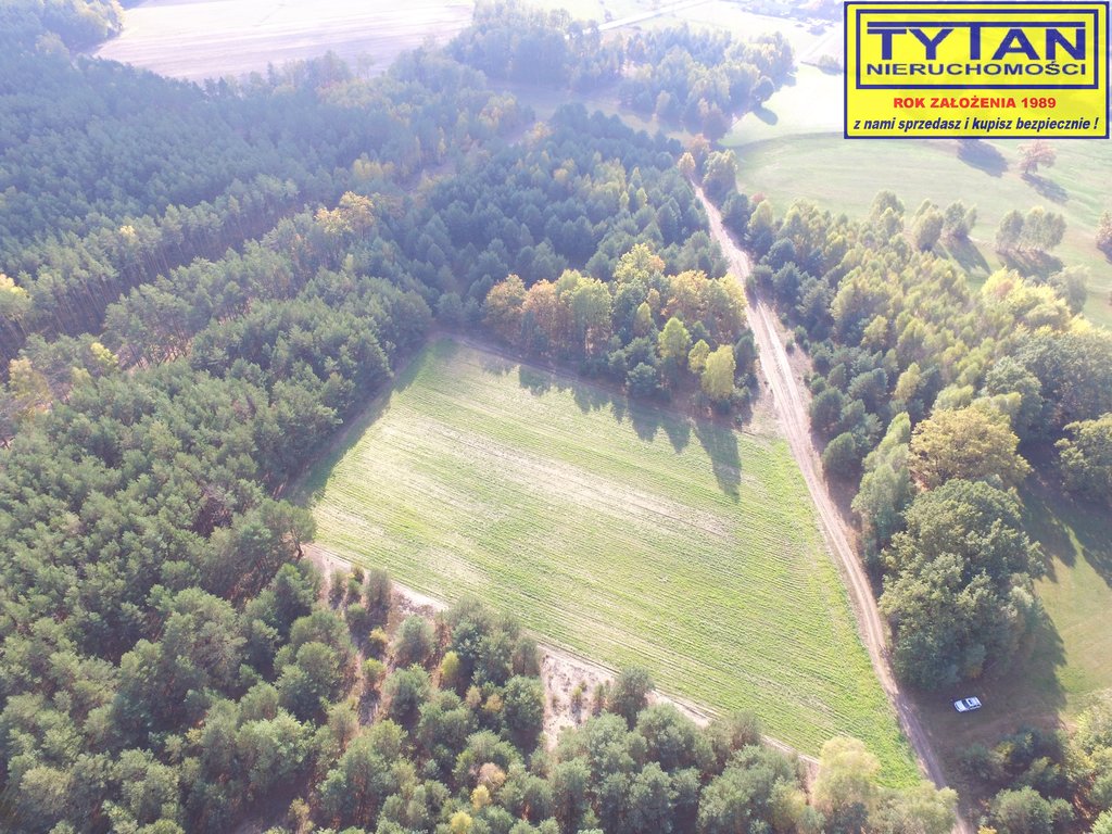 Działka rolna 2,48&nbsp;ha, Serwatki - zdjęcie 3