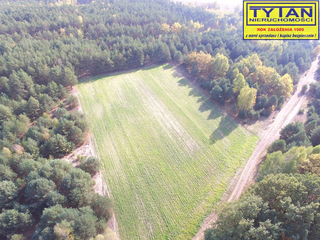 Działka rolna 2,48&nbsp;ha, Serwatki - zdjęcie 2