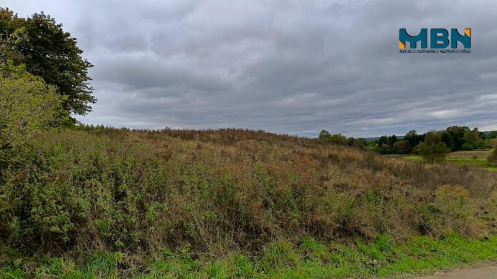 Działka budowlana 1131&nbsp;m², Gajewo - zdjęcie 7