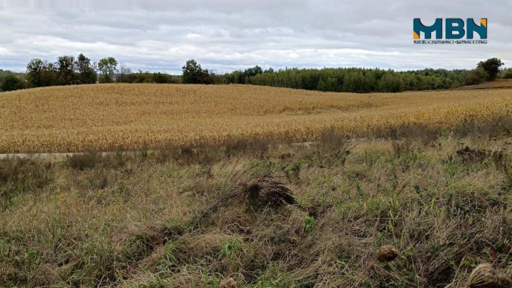 Działka budowlana 1131&nbsp;m², Gajewo - zdjęcie 8