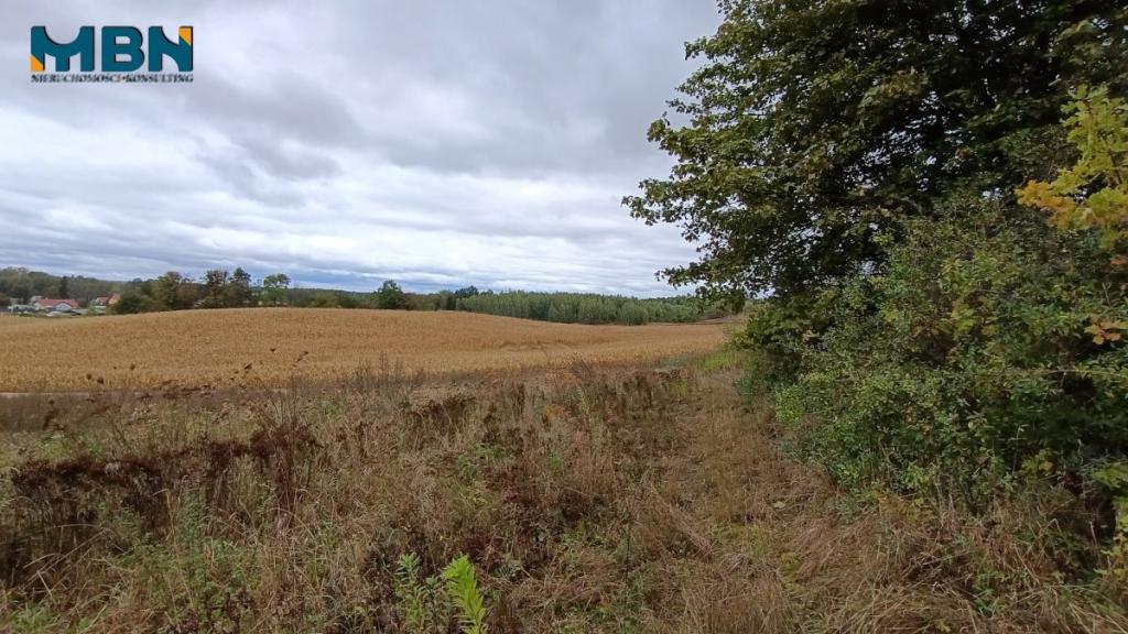 Działka budowlana 1131&nbsp;m², Gajewo - zdjęcie 9