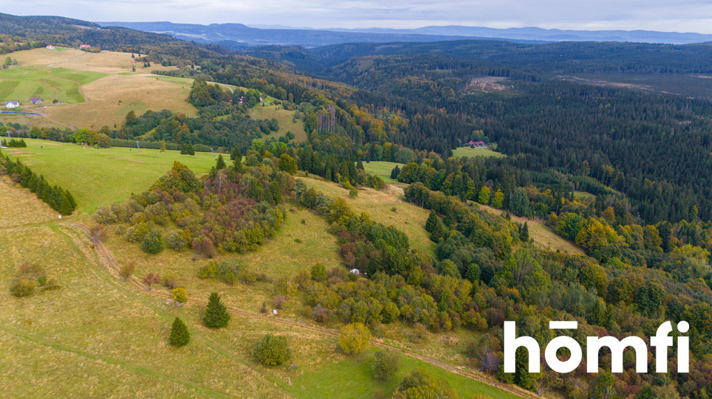 Działka budowlana 4300&nbsp;m², Duszniki-Zdrój, Zieleniec, Zieleniec - zdjęcie 5