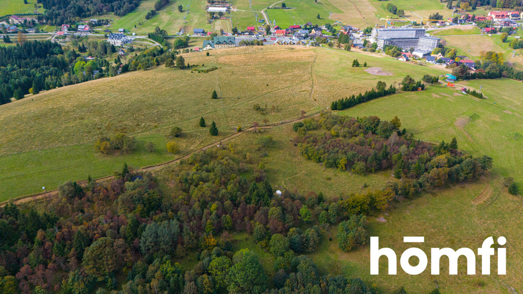 Działka budowlana 4300&nbsp;m², Duszniki-Zdrój, Zieleniec, Zieleniec - zdjęcie 7