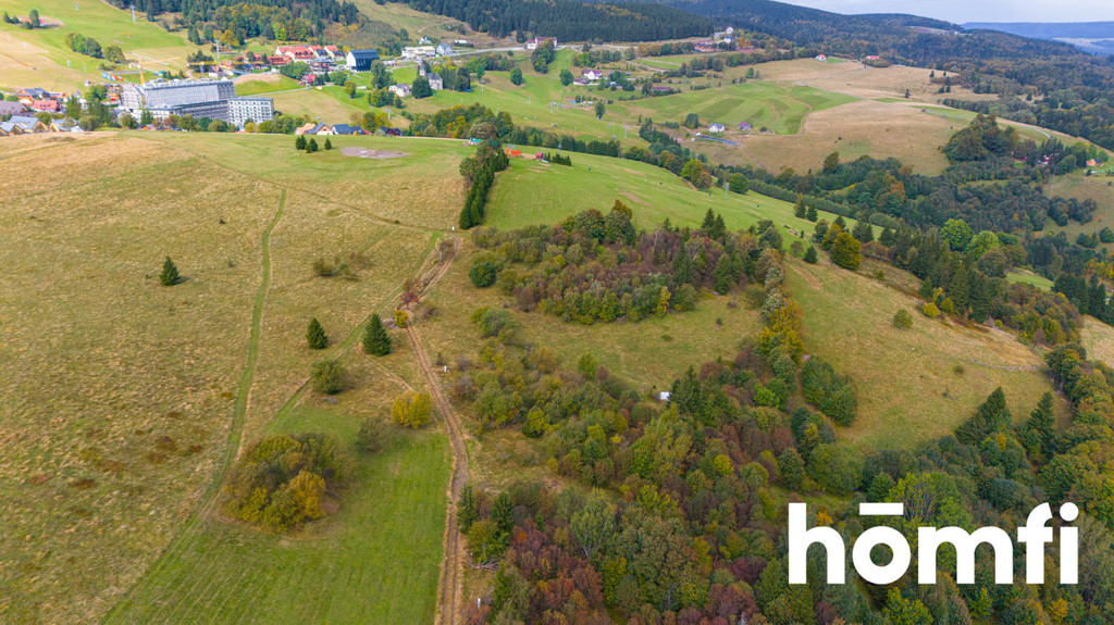 Działka budowlana 4300&nbsp;m², Duszniki-Zdrój, Zieleniec, Zieleniec - zdjęcie 6