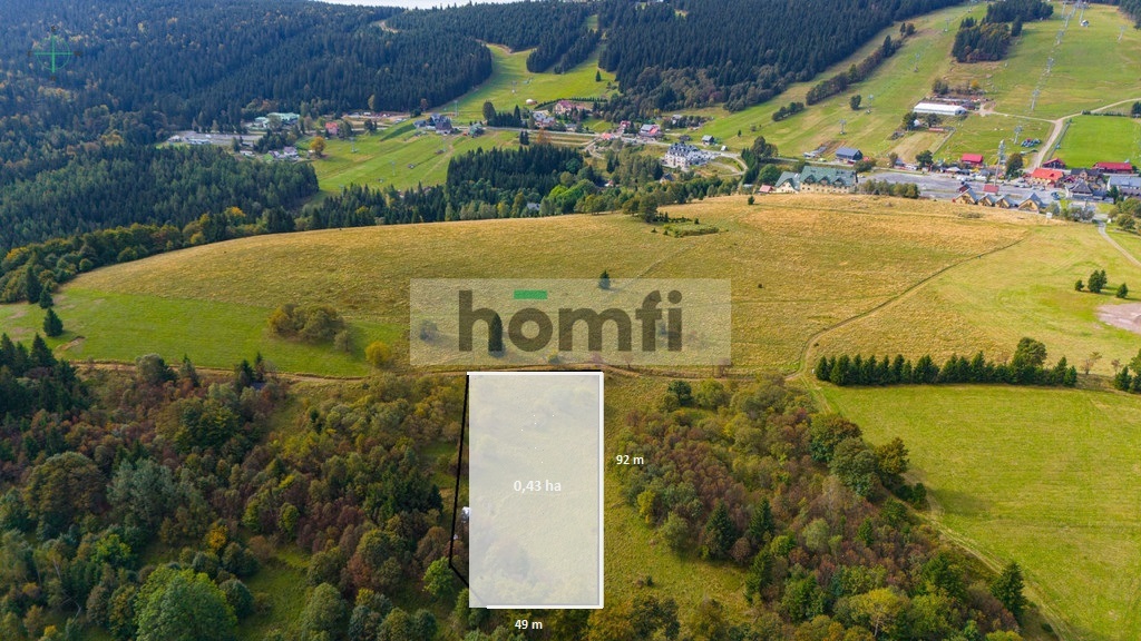 Działka budowlana 4300&nbsp;m², Duszniki-Zdrój, Zieleniec, Zieleniec - zdjęcie 9