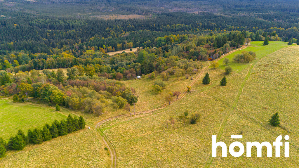 Działka budowlana 4300&nbsp;m², Duszniki-Zdrój, Zieleniec, Zieleniec - zdjęcie 2