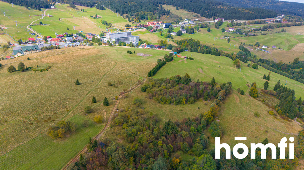 Działka budowlana 4300&nbsp;m², Duszniki-Zdrój, Zieleniec, Zieleniec - zdjęcie 4