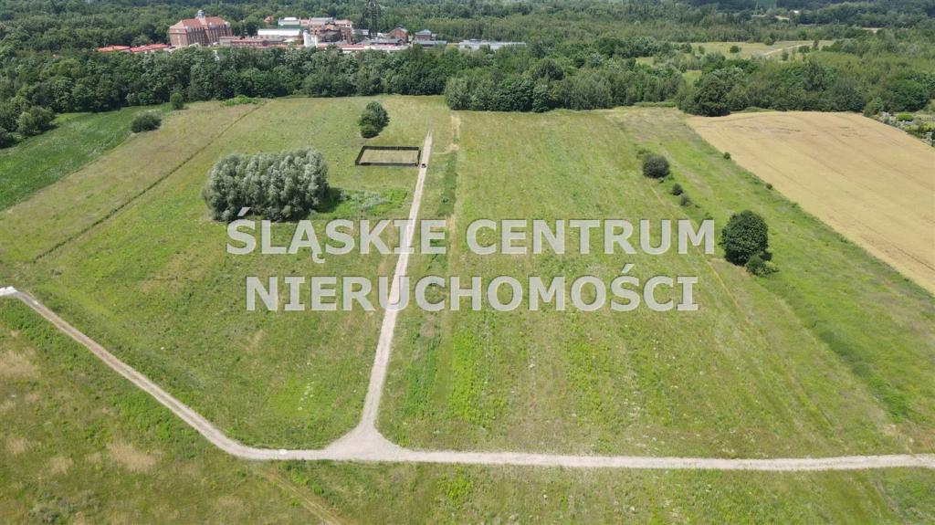 Działka budowlana 705 m², Zabrze, Biskupice, Kasprowicza - zdjęcie 6