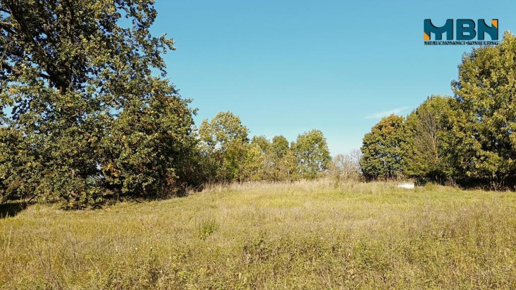 Dom 500&nbsp;m², Węgorzewo - zdjęcie 19