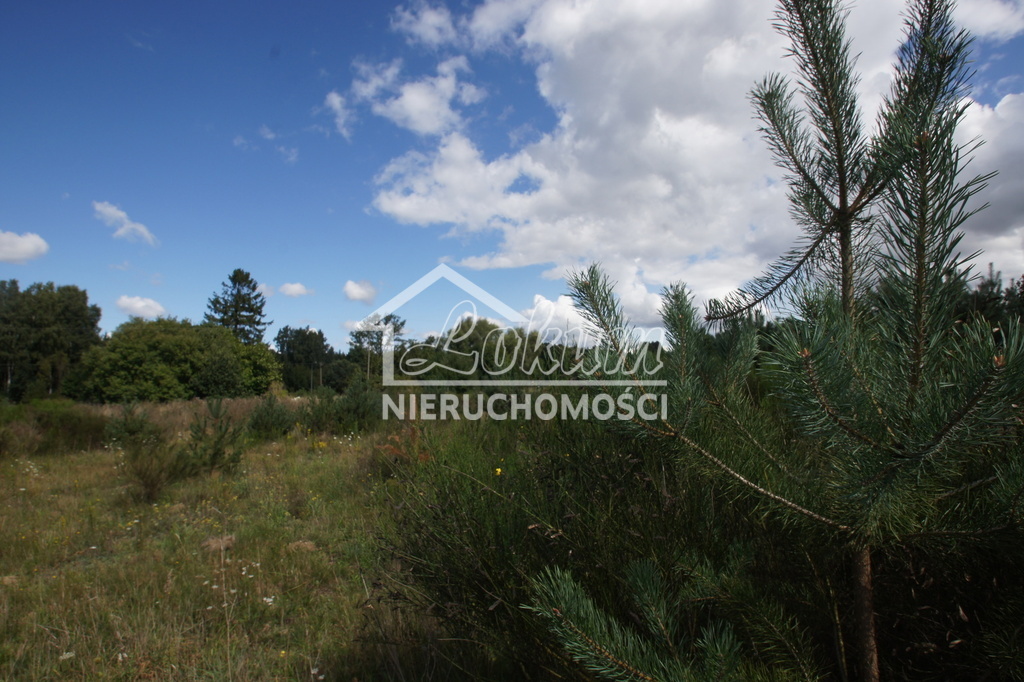 Działka budowlana 978&nbsp;m², Charzyno - zdjęcie 2