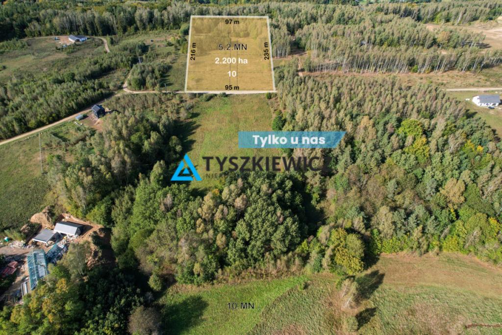 Działka położona przy lesie 400 metrów od Jeziora - zdjęcie 1