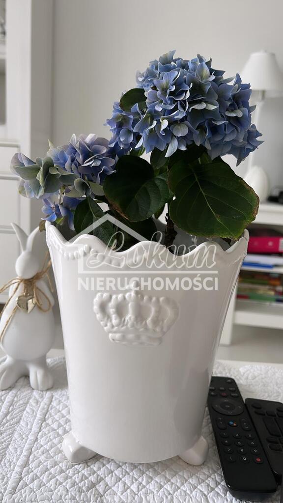 Mieszkanie 54,04 m², Szczecin, Niebuszewo, Ks. bpa Władysława Bandurskiego - zdjęcie 12