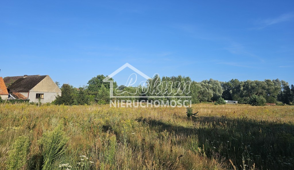 Działka rolna 3108&nbsp;m², Poczernin - zdjęcie 9