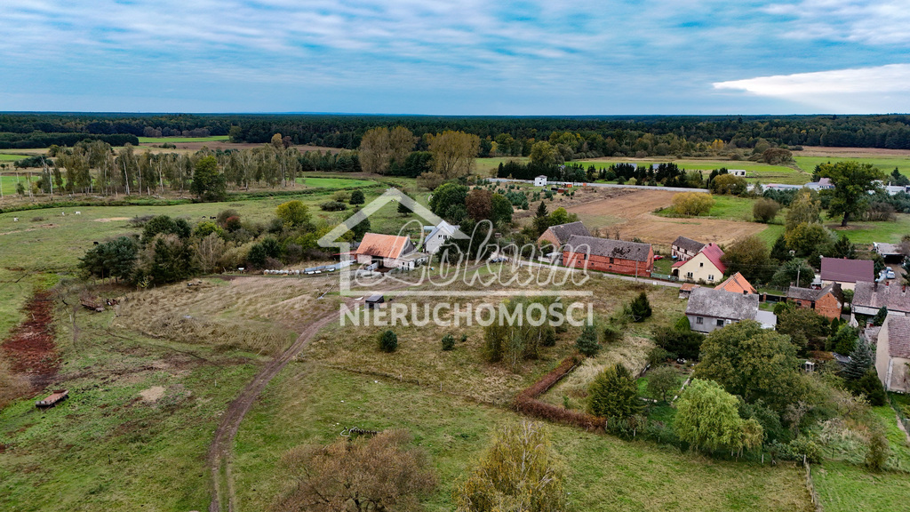 Działka rolna 3108&nbsp;m², Poczernin - zdjęcie 2