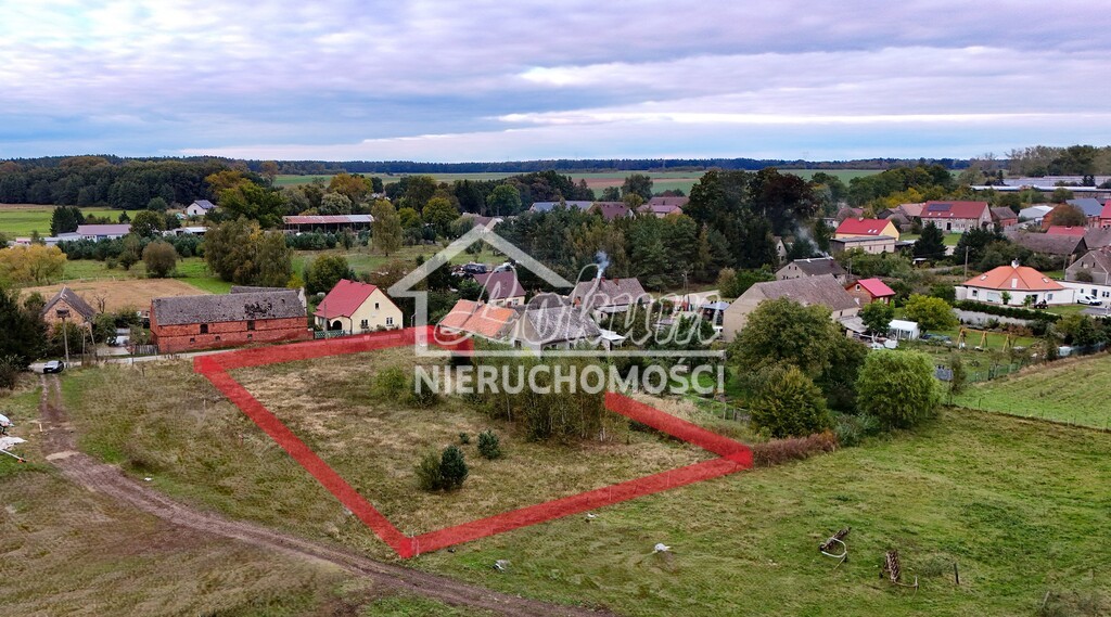 Działka rolna 3108&nbsp;m², Poczernin - zdjęcie 3