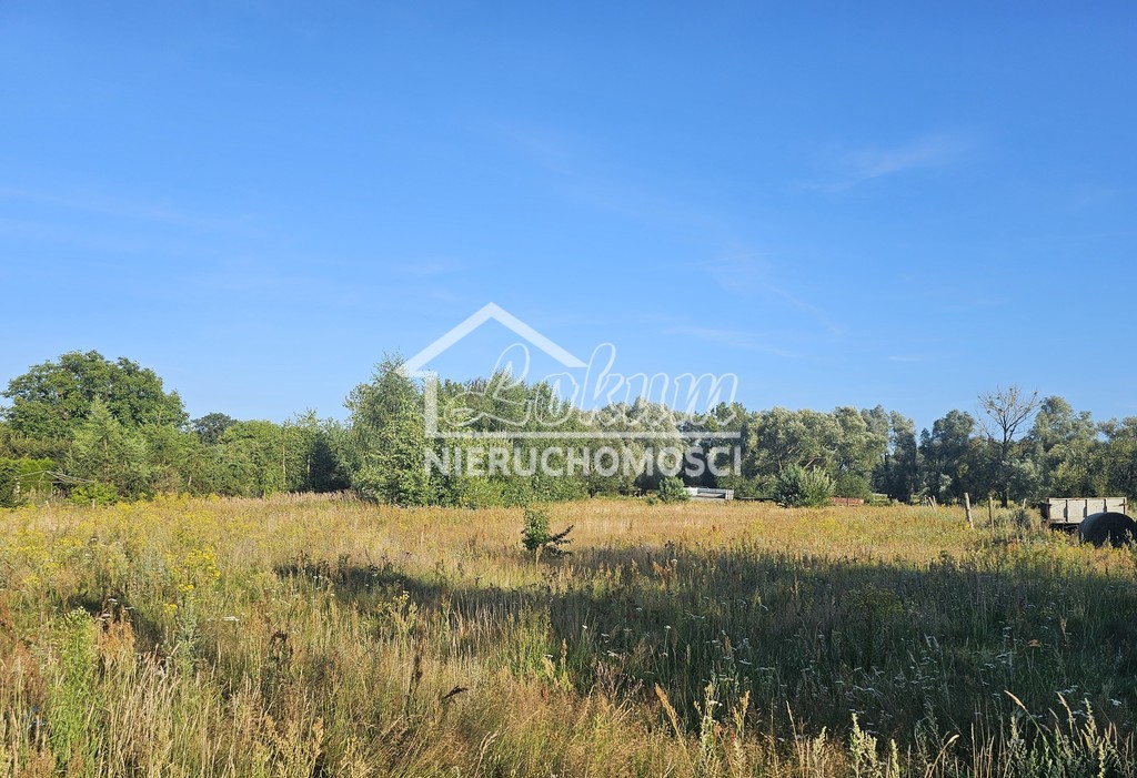 Działka rolna 3108&nbsp;m², Poczernin - zdjęcie 8