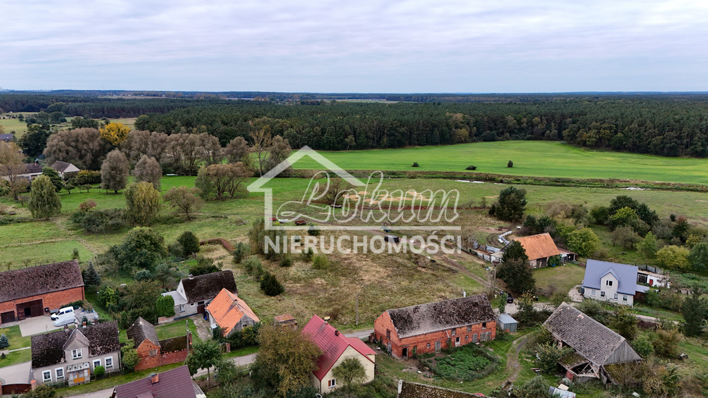 Działka rolna 3108&nbsp;m², Poczernin - zdjęcie 6