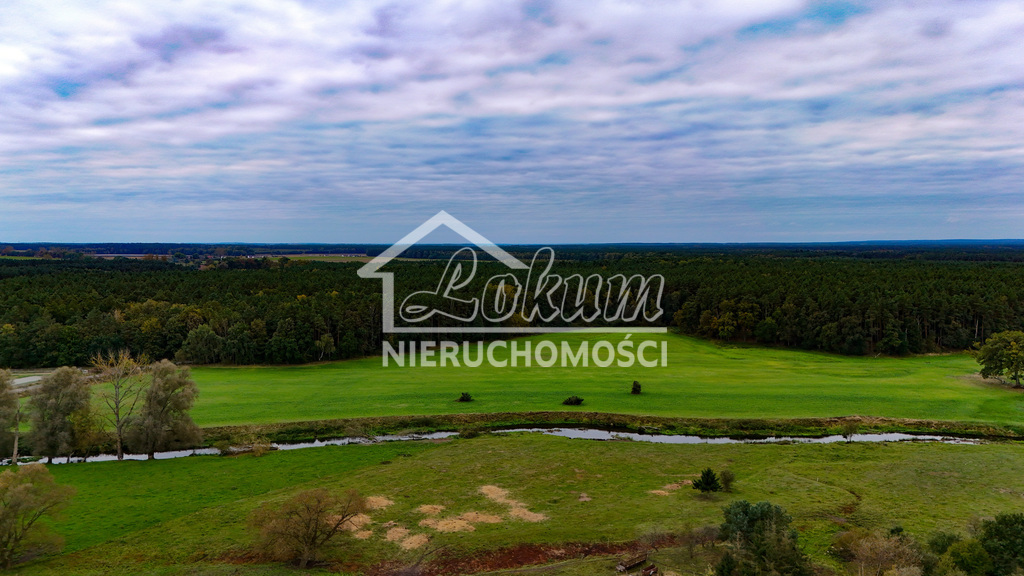 Działka rolna 3108&nbsp;m², Poczernin - zdjęcie 4