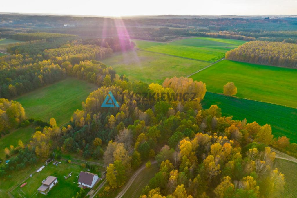 Działka położona w sąsiedztwie lasów i jeziora - zdjęcie 10