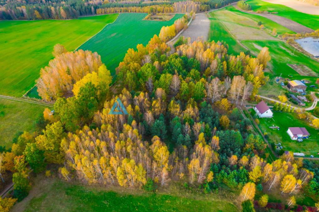 Działka położona w sąsiedztwie lasów i jeziora - zdjęcie 3