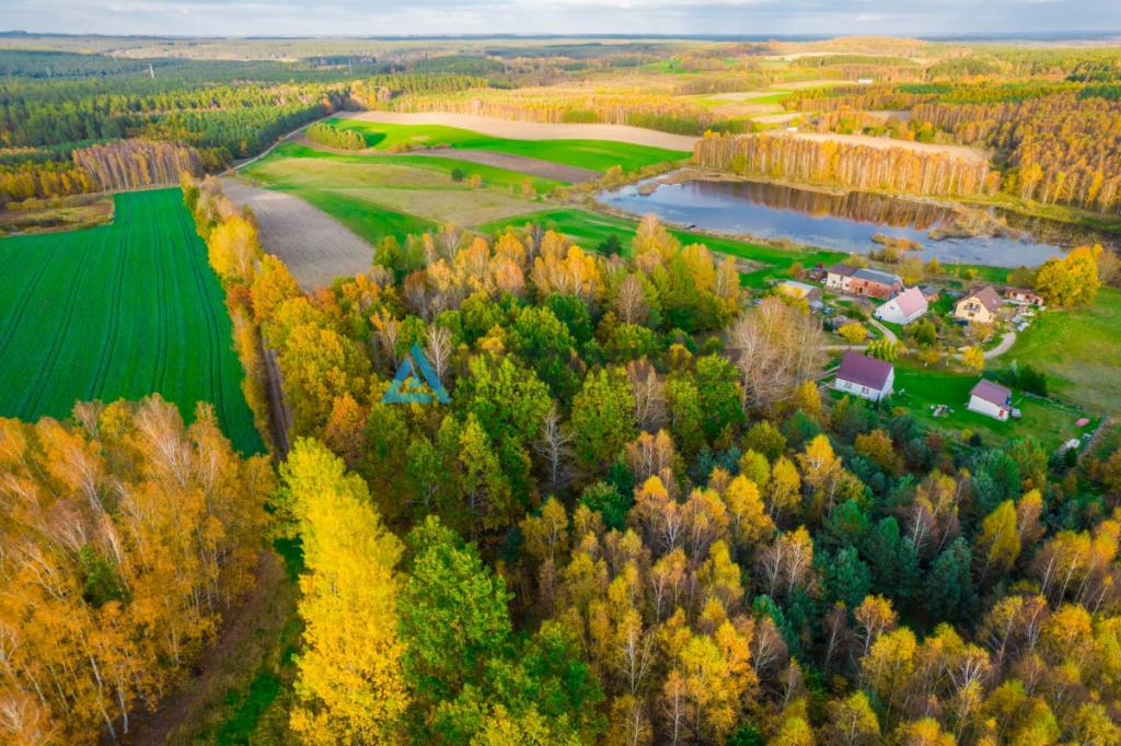 Działka położona w sąsiedztwie lasów i jeziora - zdjęcie 5