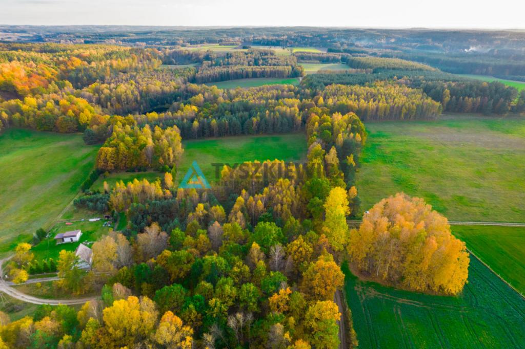 Działka położona w sąsiedztwie lasów i jeziora - zdjęcie 11