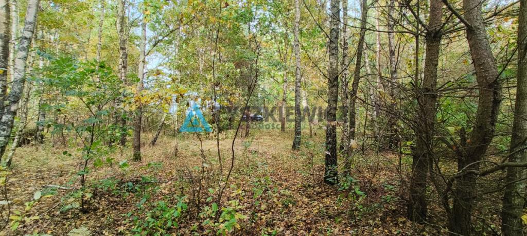 Działka położona w sąsiedztwie lasów i jeziora - zdjęcie 16