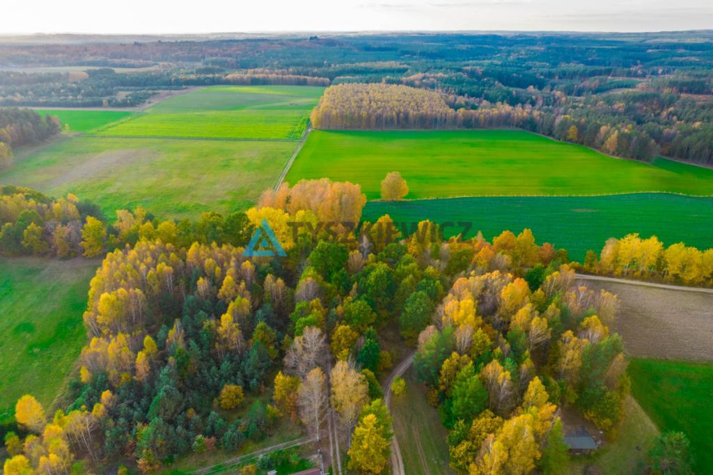 Działka położona w sąsiedztwie lasów i jeziora - zdjęcie 9