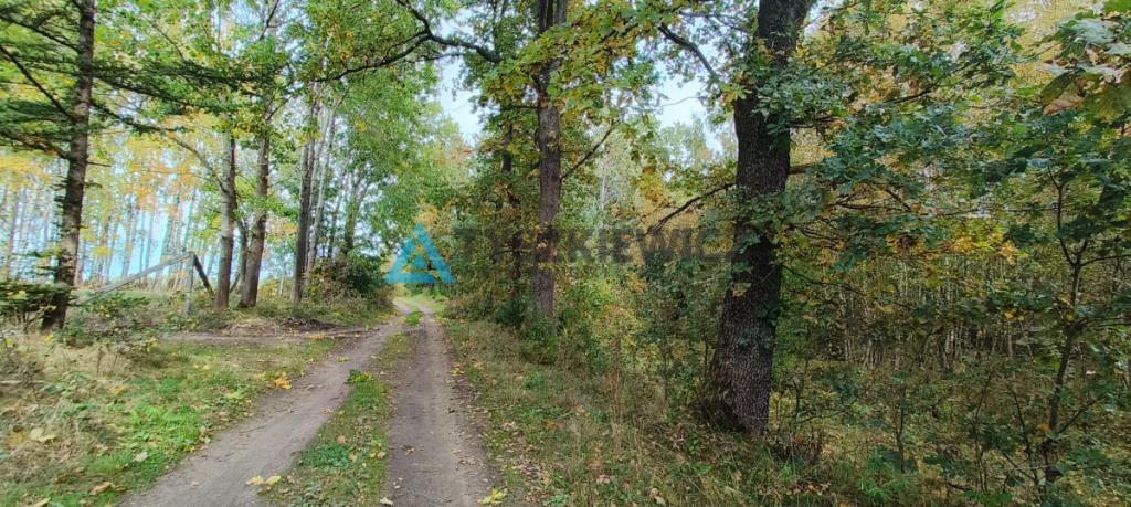 Działka położona w sąsiedztwie lasów i jeziora - zdjęcie 17