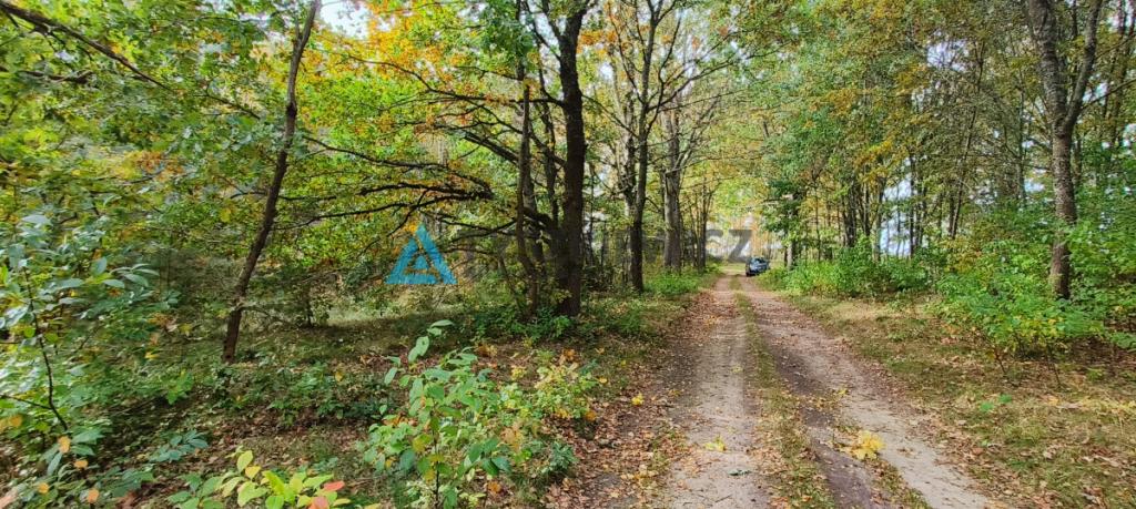 Działka położona w sąsiedztwie lasów i jeziora - zdjęcie 20