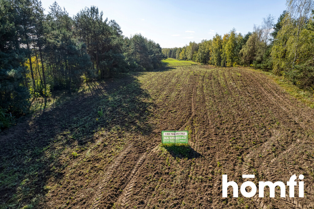 Działka budowlana 4100 m², Brzeziny - zdjęcie 3