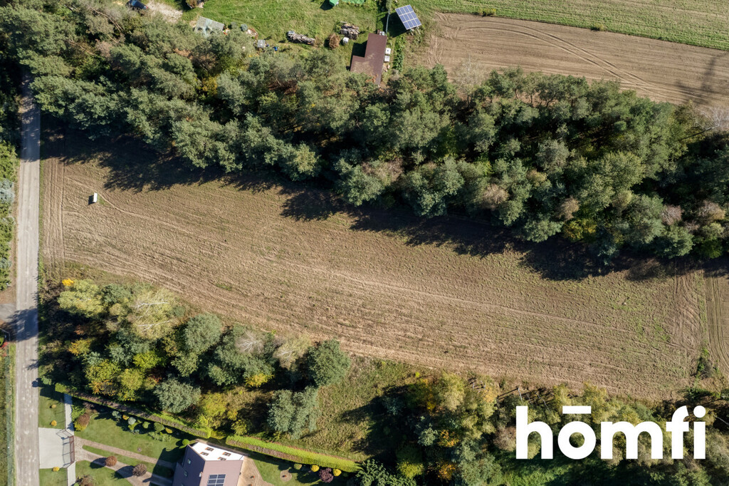 Działka budowlana 4100 m², Brzeziny - zdjęcie 5