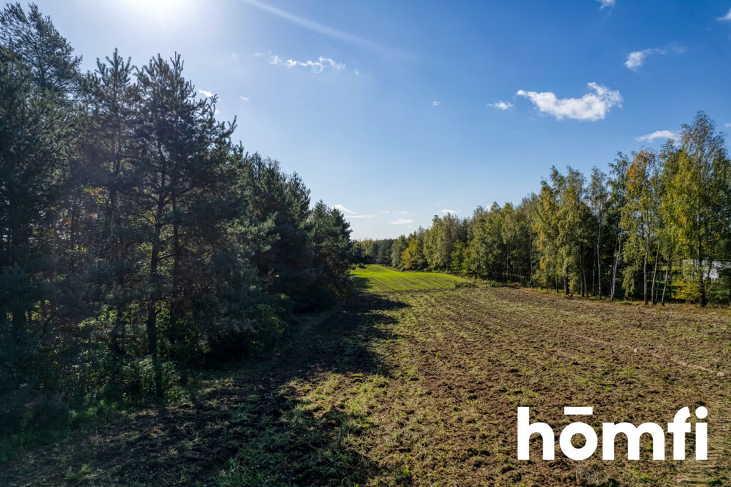 Działka budowlana 4100 m², Brzeziny - zdjęcie 7