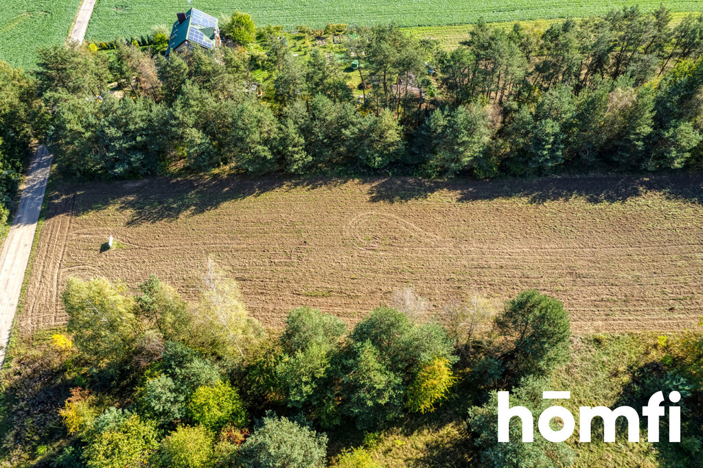 Działka budowlana 4100 m², Brzeziny - zdjęcie 1