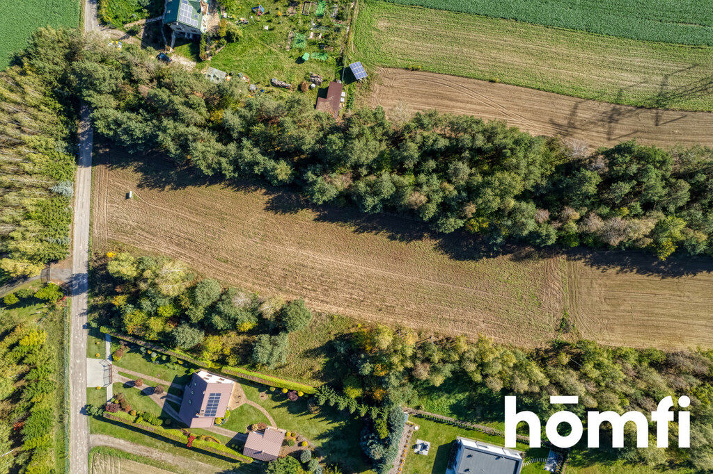 Działka budowlana 4100 m², Brzeziny - zdjęcie 6